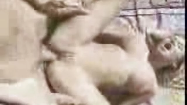 قیچی ستاره پیوستن به کانال سکسی ماه